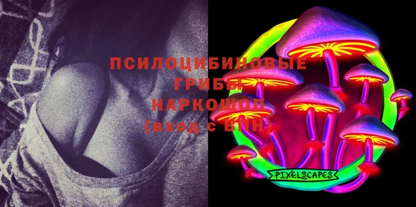 СК Нея