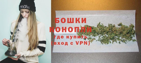 стафф Губаха