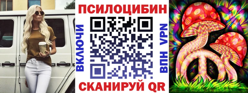 OMG   закладка  Очёр  Галлюциногенные грибы Magic Shrooms 